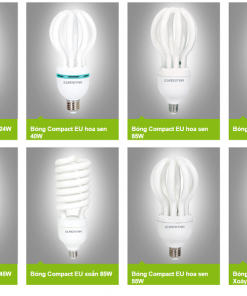 Bóng Compact các loại